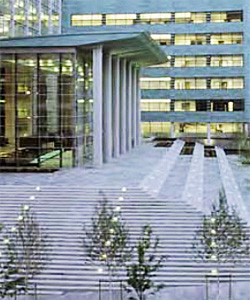 impressive and grand entry steps to office buildings incorporating trees and lights